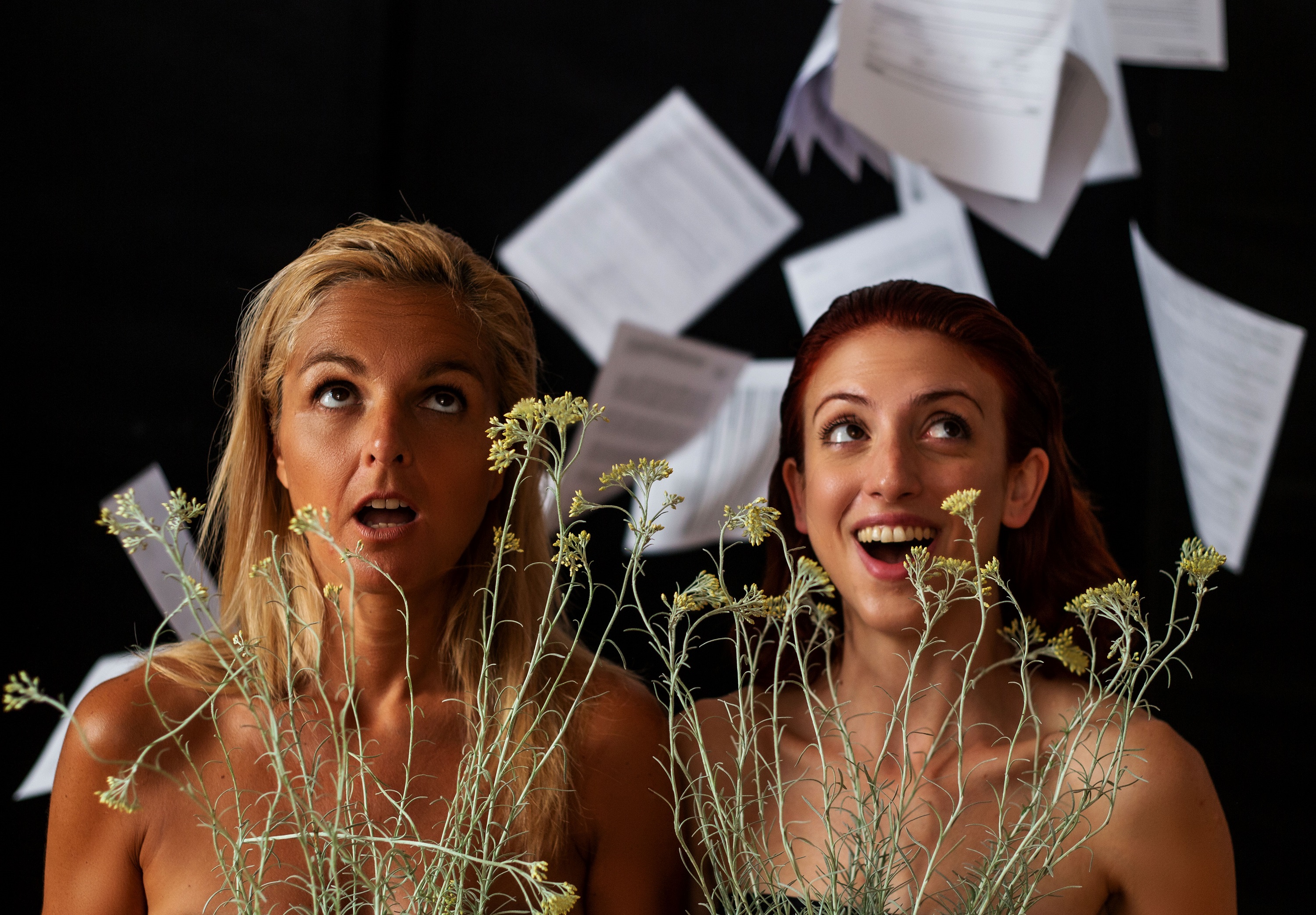 Sempreviva. Una ficció administrativa